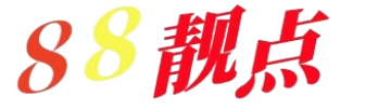 88靓点